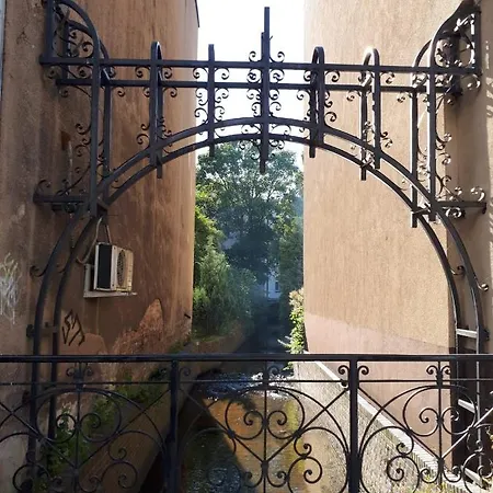Apartament Kuzniczki *